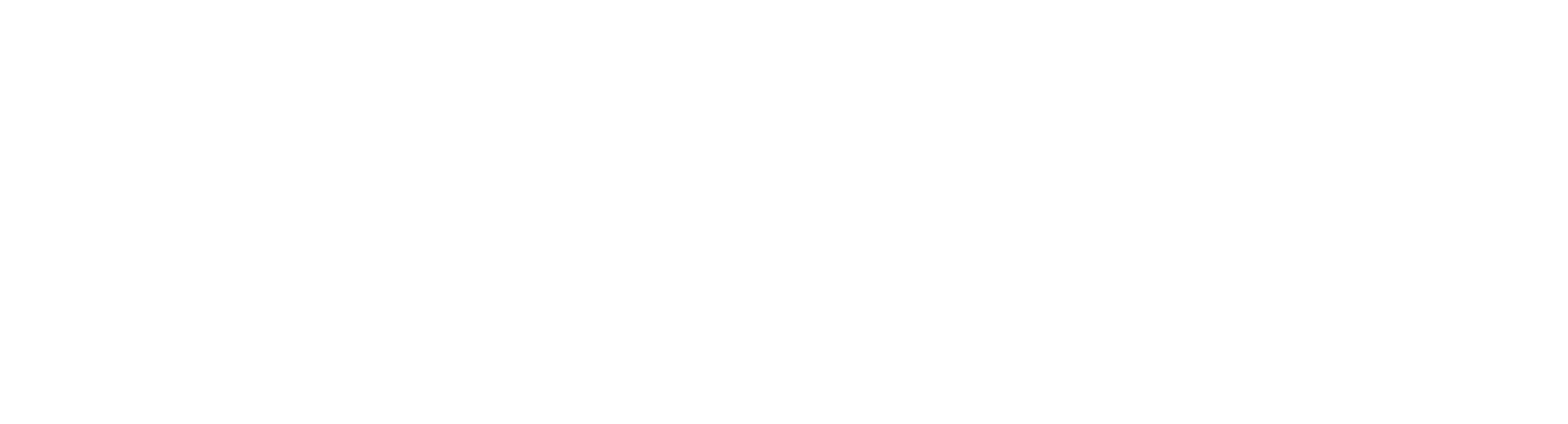 Night OS Logo